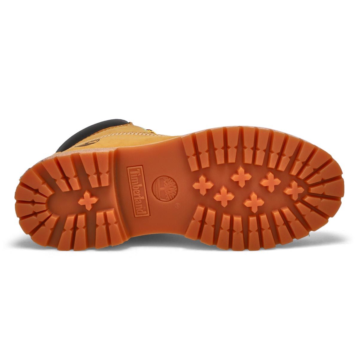 58337-premium-6-women-1.jpg